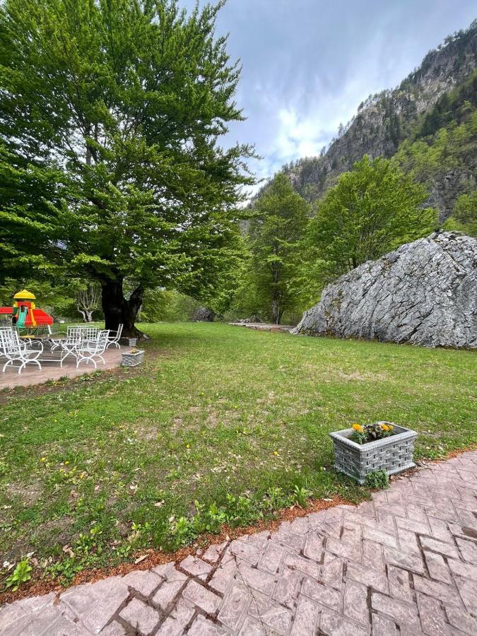 Bujtina Rilindja Guest House Valbone Extérieur photo